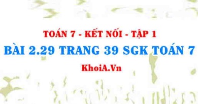 Bài 2.29 trang 39 SGK Toán 7 tập 1 Kết nối tri thức